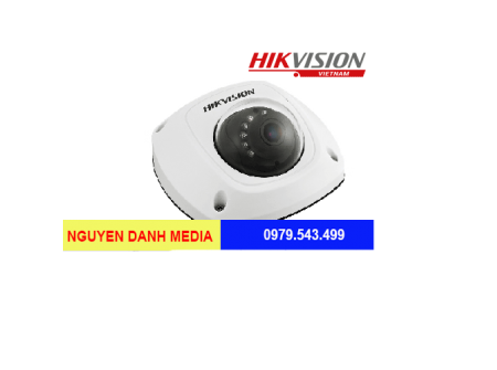Camera IP Dome hồng ngoại Hikvision DS-2CD2522FWD-I